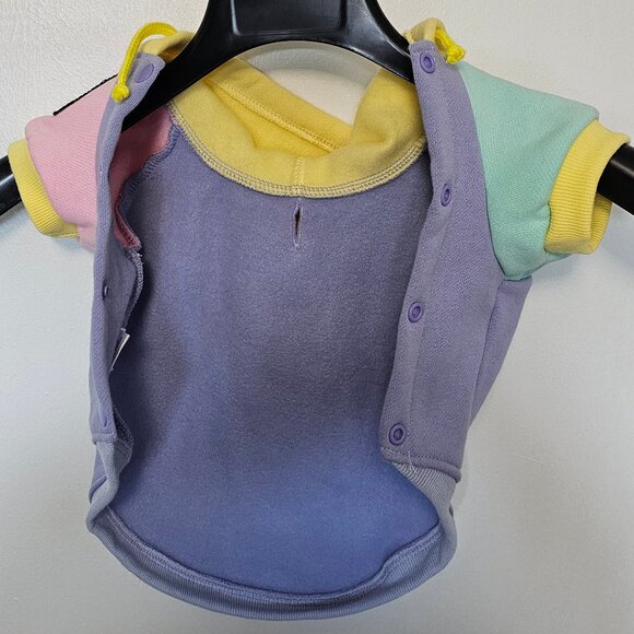 Teddy Fresh Pet Hoodie Colorblock Size L - Rare 2020 1st Edition - Picture 3 of 8